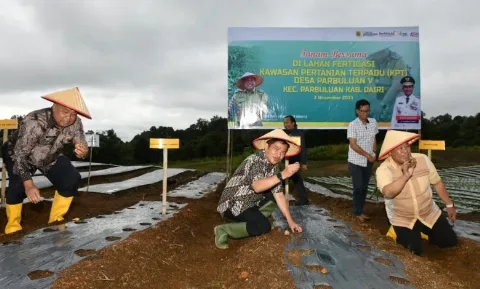 Pertanian Terpadu Penyokong Pangan Sumut