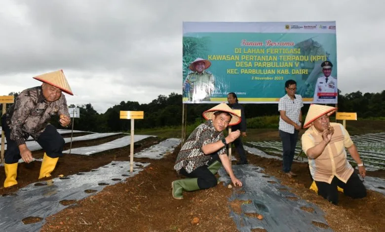 Pertanian Terpadu Penyokong Pangan Sumut