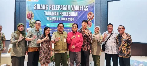 Musim Mas Luncurkan 4 Varietas Benih Sawit, Yield Sampai 10 Ton/Ha/Tahun