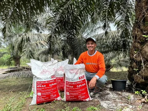 Awas Pelepah Sengkleh! Ancaman Senyap di Balik Panen Raya Sawit
