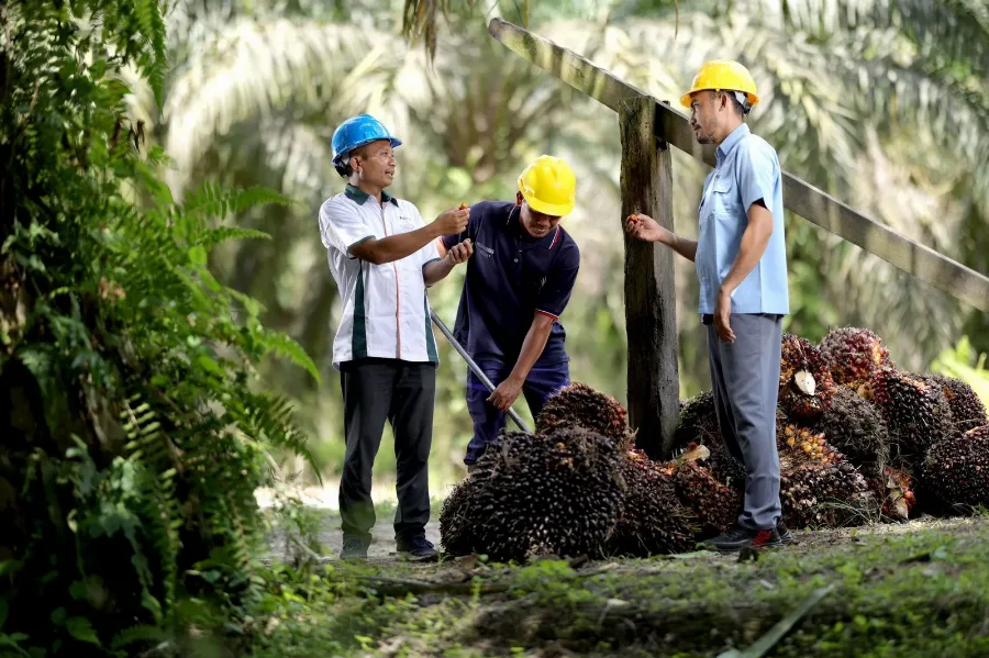 Konsisten Praktikan Keberlanjutan, Apical Raih Posisi Dua di SPOTT 2023