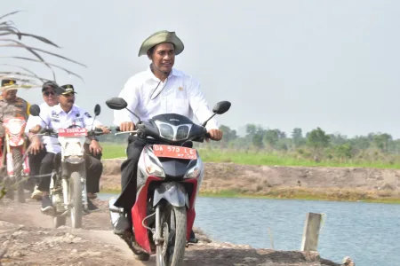 Mengoptimasi Lahan Rawa menjadi Menjadi Lahan Produktif