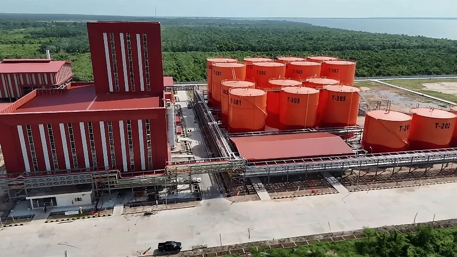 Sumber Tani Agung Records 49.2% Revenue Surge in Q1 2026, Driven by New Refinery Operations