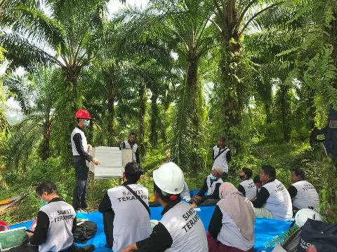 Sinar Mas Agribusiness and Food Sukses Dampingi 270 Petani Program Sawit Terampil, Raih Sertifikat RSPO