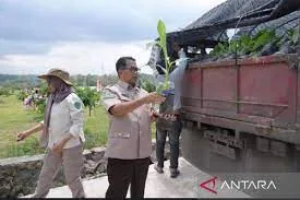 Pemprov Kaltim Meminta BBI TPH Menyediakan Kebutuhan Benih Pertanian