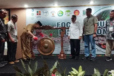 Dinas Perkebunan Provinsi Riau Mendata Sebanyak 5.600 Hektar Lahan Kebun Sawit Untuk Tumpang Sari