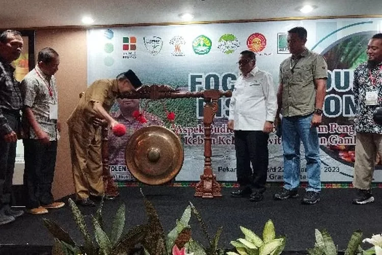 Dinas Perkebunan Provinsi Riau Mendata Sebanyak 5.600 Hektar Lahan Kebun Sawit Untuk Tumpang Sari
