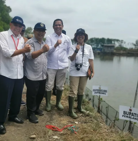 Program Tanam Mangrove APROBI Tingkatkan Ekonomi dan Lingkungan Masyarakat Pemalang