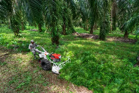 Bersihkan Lahan Sawit Lebih Cepat dan Mudah