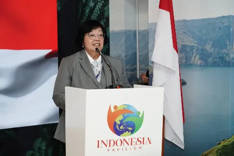 Indonesia Berhasil Mengurangi Deforestasi Lebih Banyak dari Negara Lain