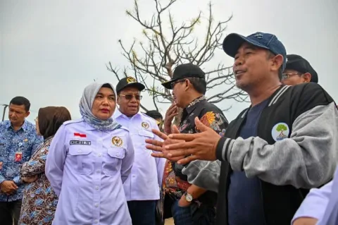 Komisi IV DPR RI Meninjau Penanaman Mangrove