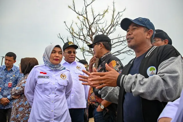Komisi IV DPR RI Meninjau Penanaman Mangrove