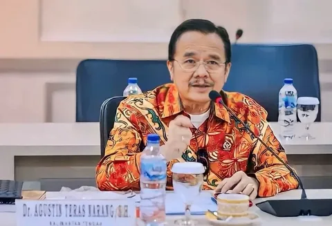 Senator Kalteng Beberkan Strategi Cegah Penjarahan Sawit