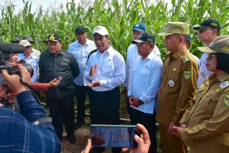 Mentan Amran Bantu Tangani Food Estate Gunung Mas