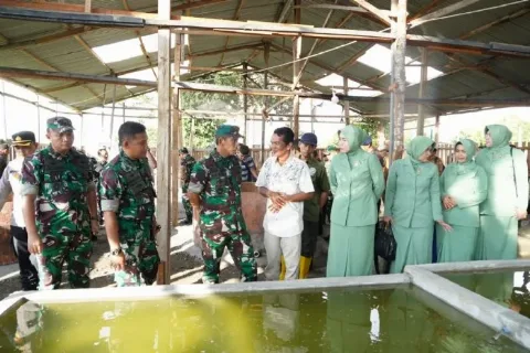 Program Ketahanan Pangan I'M Jagong Wujud Kepedulian TNI