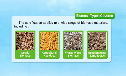 Limbah Jadi Emas Hijau: Sertifikasi GGL Sebagai Kunci Kredibilitas Biomassa Sawit di Pasar Global