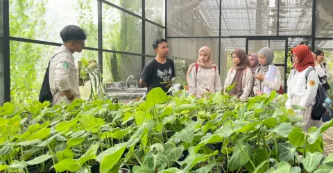 IKA Faperta Memberikan Pelatihan dan Pendampingan Budidaya dari Hulu ke Hilir, Mengembangkan Unit Bisnis Berkelanjutan