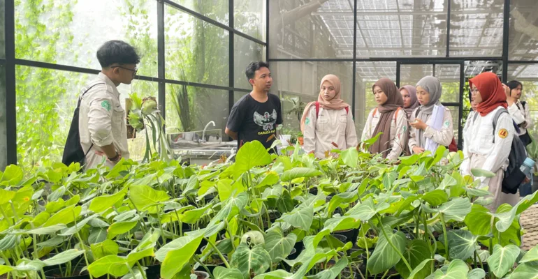 IKA Faperta Memberikan Pelatihan dan Pendampingan Budidaya dari Hulu ke Hilir, Mengembangkan Unit Bisnis Berkelanjutan