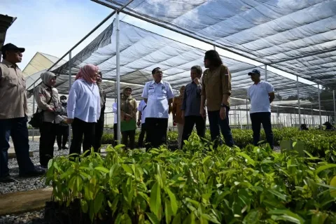 Komisi IV DPR RI Mengapresiasi Persemaian Mentawir Sebagai Pemasok Bibit Tanaman untuk Kawasan IKN