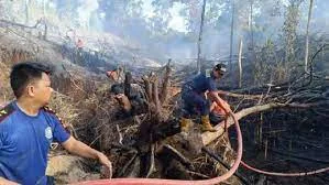 Provinsi Kalimantan Timur Terdeteksi Memiliki 66 Titik Panas
