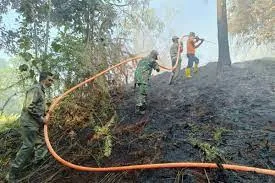 Penurunan Jumlah Titik Panas di Provinsi Kalimantan Timur Menjadi 28 Titik Panas