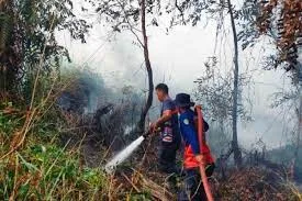 Titik Panas di Kaltim Terus Menurun