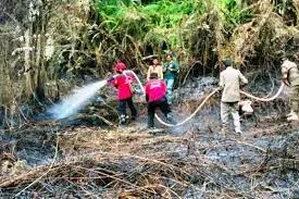 34 Titik Panas Terdeteksi di Kaltim