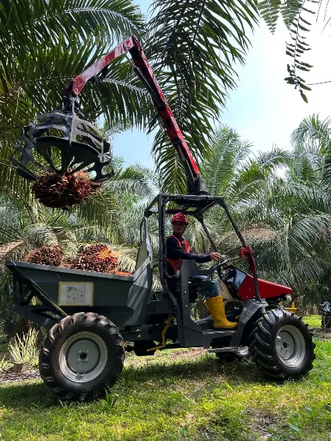 Erreppi Buffalo,Traktor Mini untuk Efisiensi Kerja Produksi Perkebunan