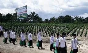 Santri Sawit Kecam Label 'Palm Oil Free'