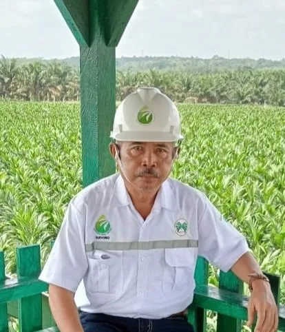 Menthobi Hijau Lestari  Berikan Solusi Produktivitas Sawit Yang Berkelanjutan
