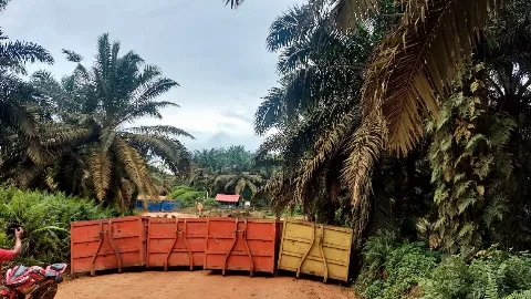 Perkebunan Sawit Kalteng Terancam Aksi Penjarahan