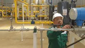 Pabrik Biogas Sawit Menghasilkan 300 MMBTU Biogas/Hari