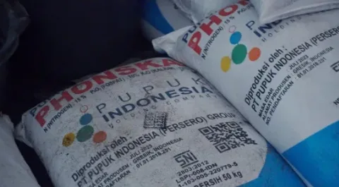 Berkurangnya Jatah Pupuk Bersubsidi, Kementerian Pertanian Bertindak Cepat
