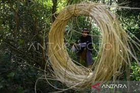 BI mendorong Pemprov Aceh Dalam Pengembangan Ekonomi Hijau