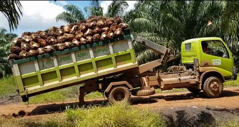 Pemuda Baja Raya Perkenalkan Unit Mekanisasi Sawit