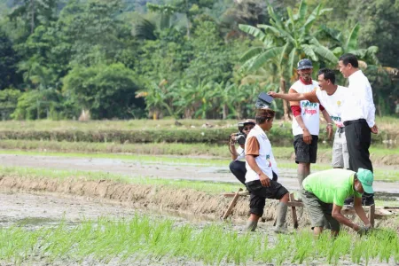 Perhatian Serius Pemerintah Terhadap Petani Agar Mampu Meningkatkan Produktivitas