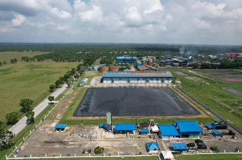 Pertamina NRE dan PTPN III Menjalin Kemitraan Strategis Komersialisasi Kredit Karbon