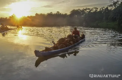 Transformasi Ekonomi Hijau Menjadi Napas Baru Industri Kelapa Sawit