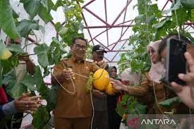 Pj Gubernur Kaltim Ajak Bupati dan Walikota Kembangkan Pertanian