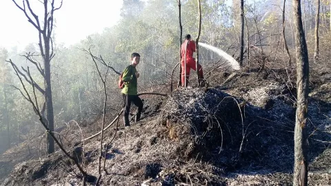 BPBD Kota Tarakan Bersama Brigdal Karhutla Padamkam Kebakaran Hutan SBM
