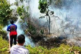 Titik Panas Kalitim Turun Menjadi 24 Titik