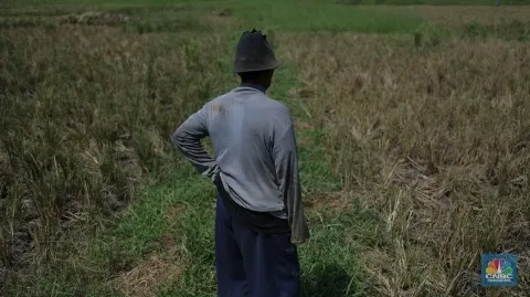 Krisis Pangan di Dunia, Semua Pihak Harus Bisa Menjaga Kondisi Pangan