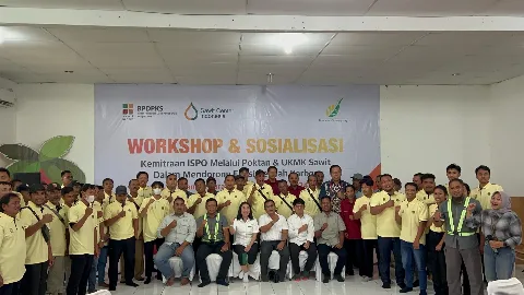 Didukung BPDPKS, Stakeholders Sawit Dorong Percepatan ISPO Pekebun