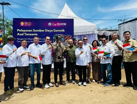 GAPKI Optimalkan Sumber Daya Genetik Benih Sawit dari Tanzania Bagi Peningkatan Produksi
