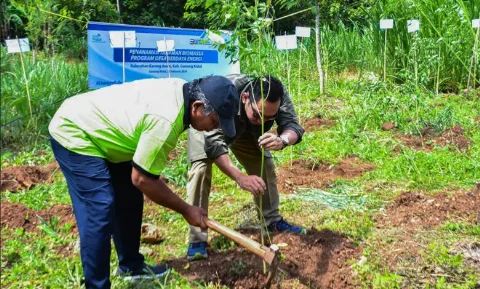 PT PLN Energi Primer Indonesia Berkomitmen Terus Mendorong Program Cofiring Biomassa
