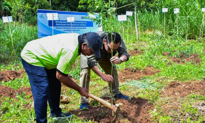PT PLN Energi Primer Indonesia Berkomitmen Terus Mendorong Program Cofiring Biomassa