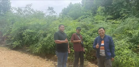 APKASINDO Kaltara Lakukan Survei untuk Program Sarpras BPDPKS