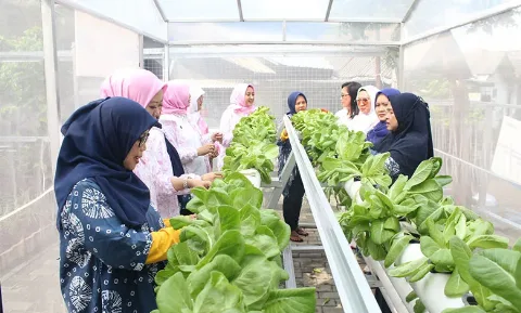 Pertanian Berkelanjutan Menjadi Solusi Memenuhi Kebutuhan Pangan