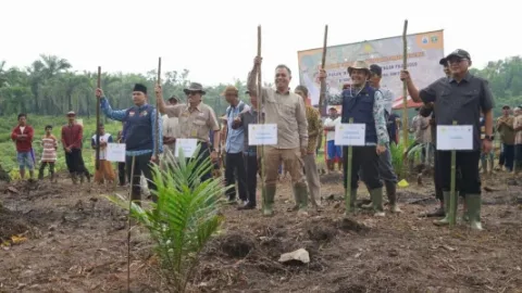 Optimalkan Lahan Perkebunan Demi Tambah Produksi Padi