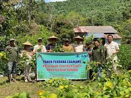 PT Kayung Agro Lestari Dampingi Panen Perdana Edamame di Desa Laman Satong